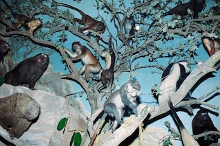 tomjohnson-another019