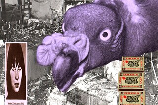 Under the Wings of the Valkyrie by Sj&#243;n