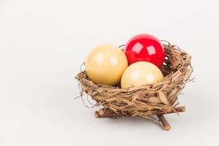 Guillaume Bijl, Sorry, 1987, Bird’s nest with pool ball