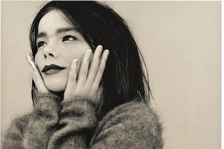 Bj&#246;rk, Venus as a Boy, 1993