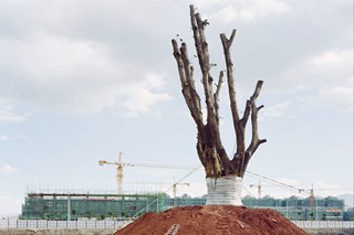  2013