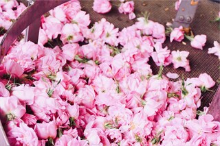 JPEG image-F41DD6523A84-12