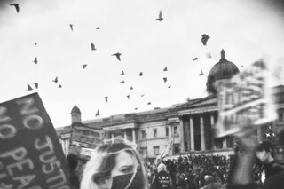 Photography by Douglas Irvine