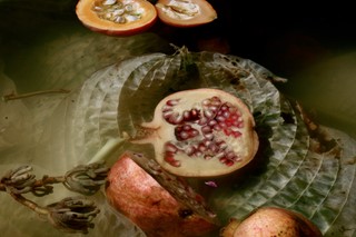 Dark Matter_2, pomegranate, 2016