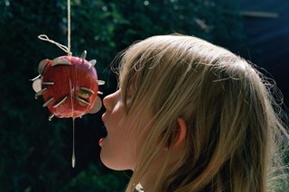rodland_apple_06