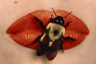 Irving Penn, Bee on Lips, New York, 1995