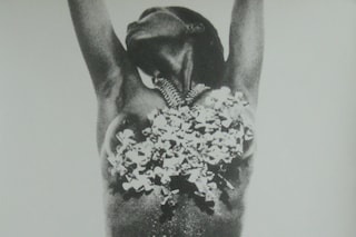 Clemmer Nus f&#233;minins (parures) (3), 1969