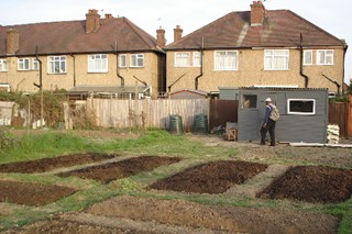 Ready for planting