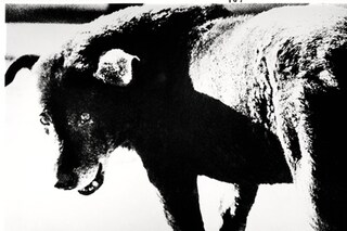 Daido Moriyama, Misawa, 1971