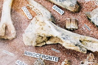 Kevin_Tadge_Museum_041