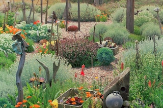 Modern Nature by Derek Jarman