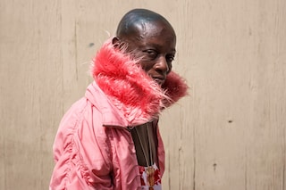 Californian Wildflowers by Pieter Hugo California Homeless 