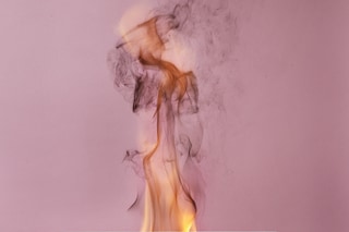 Michael B&#252;hler-Rose: Camphor Flame on Pedestal (0433), 2010