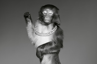 Rosie by S&#248;lve Sundsb&#248;