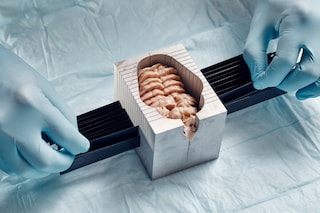 Slip Me the Master Key by Thomas Prior