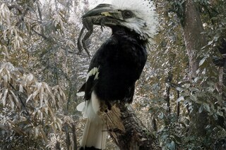 Untitled #155, 2010, Simen Johan