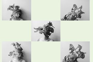 crop3