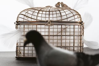 Vytautas Kumža for AnOther Magazine Spring/Summer 2025