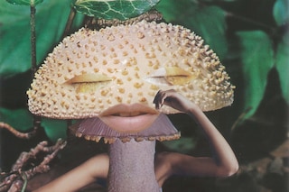 1. Seana Gavin, ‘Mindful Mushroom’, courtesy of th
