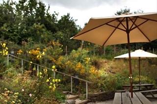 Riverford Farm and Field Kitchen