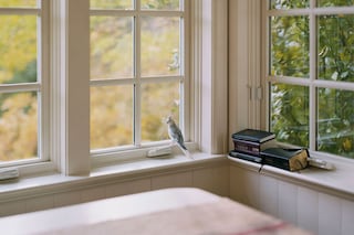 Magnum Square Print Sale: Way for Escape