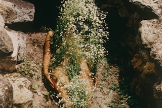 Ana Mendieta at Tate Modern