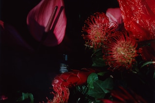 ANOTHER_BEAUTY (9) copy