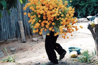 Flechazo by Pia Riverola