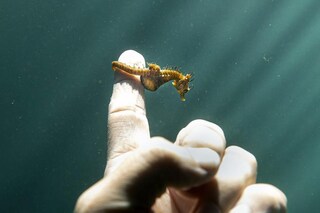 Matt_Bagley_@petrichor.mb