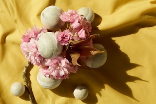 BLOOMS_19