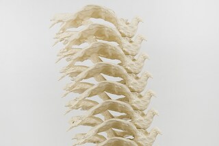 From Totem by Lucy Liu