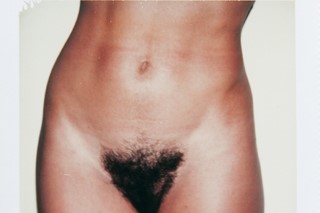Torso