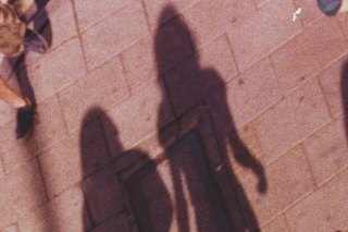 Windows by Gareth McConnell