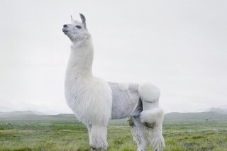 Untitled #131, 2005, Simen Johan