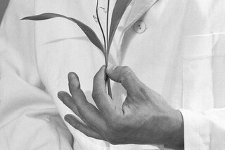 Felicia_Honkasalo_Grey_Cobalt_12