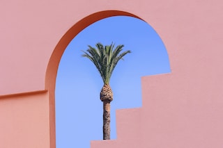 01_Pollard