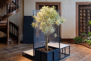 Greenhouse at the Venice Biennale 2024 Portugal Pavilion 