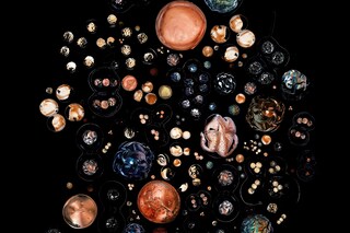 AOC_PARIS EXHIBITION_CINQ FRUITS_HYDRO