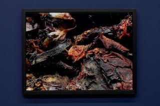 Willy Vanderperre hurt, burn, ruin &amp; more 2020 exhibition