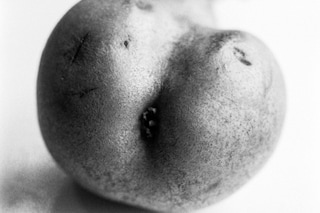 bjp_hires_mostra_037_23_new-copie2