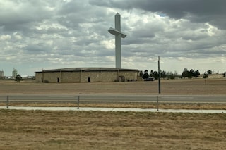 Greyhound by Joanna Pocock