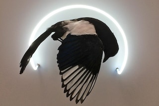 Harriet-Horton---An-Aborted-Beginning