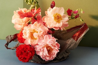 VZ_FJURA_s01_024_R1_E1 25p N