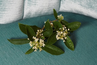 KM-011618_Gucci_Perfume_0202