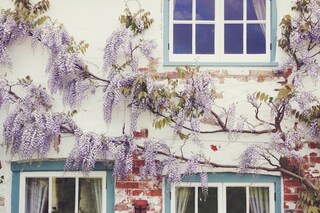 Courtesy of @josephowen