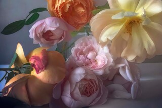 Saturday 22nd October, 2016, 