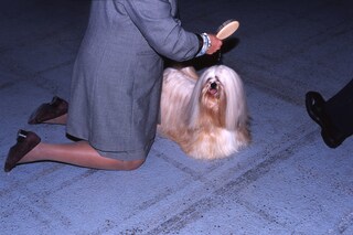 09_Herning_Denmark_2008