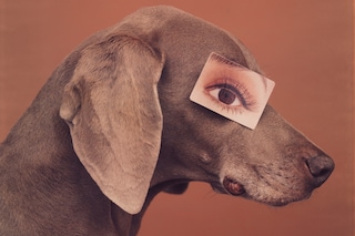 Eyewear II by William Wegman
