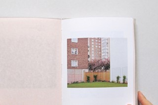 The Cherry Blossom in Kilburn