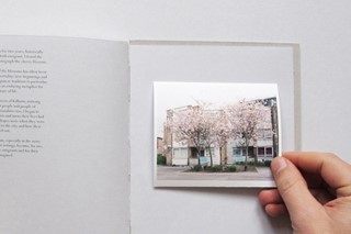 The Cherry Blossom in Kilburn